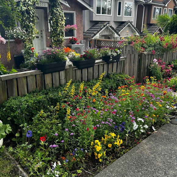 Meet your Posher, Mona - Picture 1 of 1